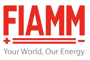Fiamm battery